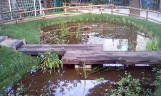 湿生地とビオトープ池