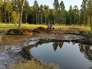 丸く攪拌された画像