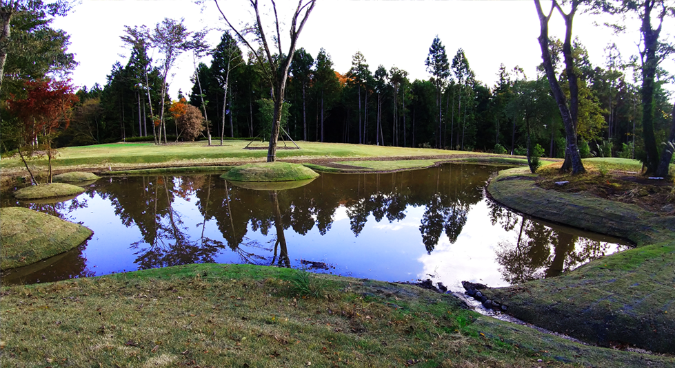 自然工法の池の画像