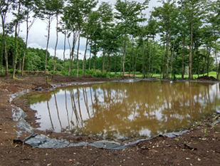 水が溜まった池の画像