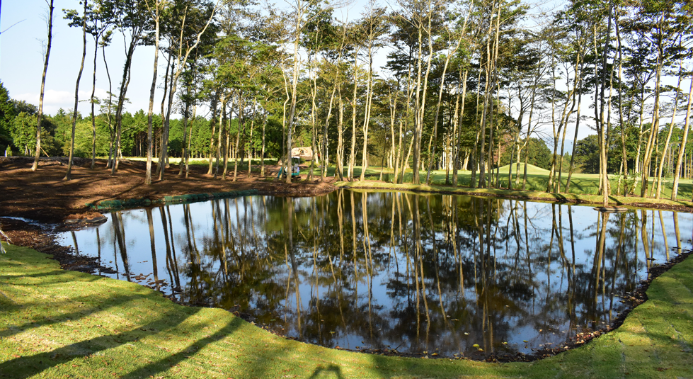 豊富な水をたたえる池の画像