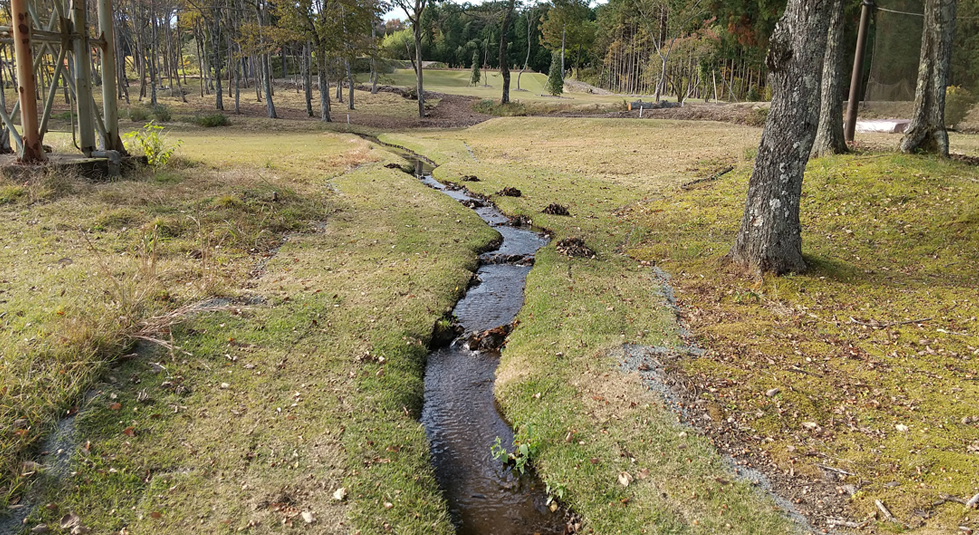 水際の保護の画像