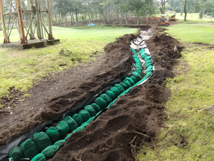 スコリア緑ネットの画像