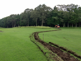 芝生掘り取りの画像