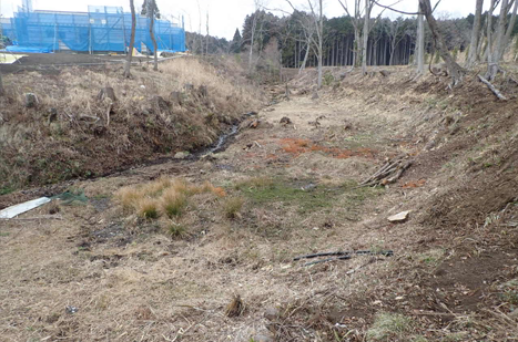 施工前沢全域の画像