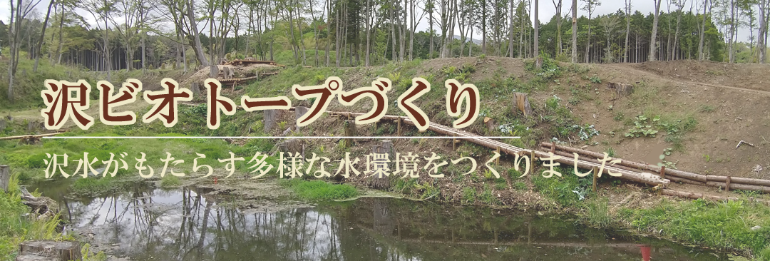 沢水がもたらす多様な環境と散策路をつくりました