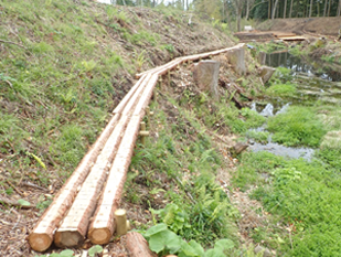 斜面の散策路の画像