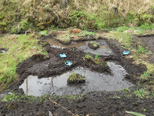 湿地帯施工中1の画像