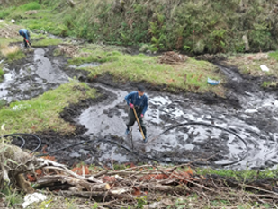 湿地帯様子の画像