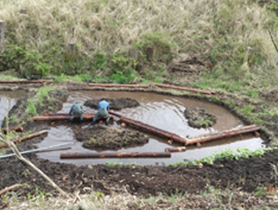 湿地帯八つ橋の画像