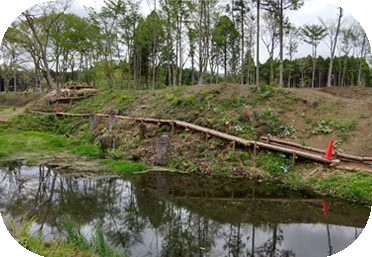 沢ビオトープの様子