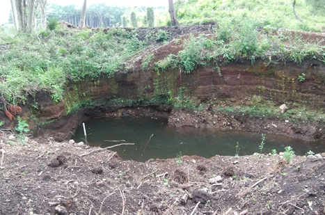 試掘した湧水地の画像