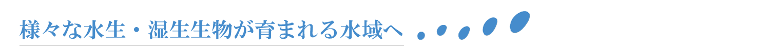 様々な水生・湿性生物が繁茂する水域