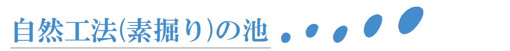 自然工法素掘りの池