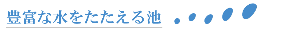 豊富な水をたたえる池