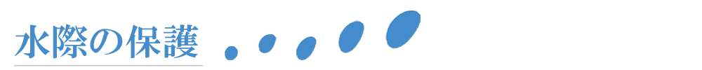水際の保護