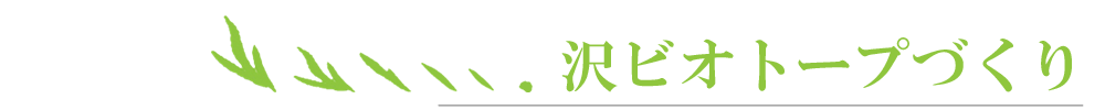 沢ビオトープづくり