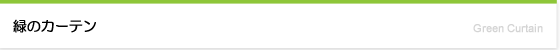 緑のカーテン