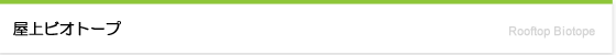 屋上ビオトープ