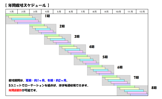 栽培スケジュール