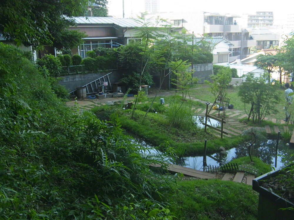 ビオトープのイメージ写真