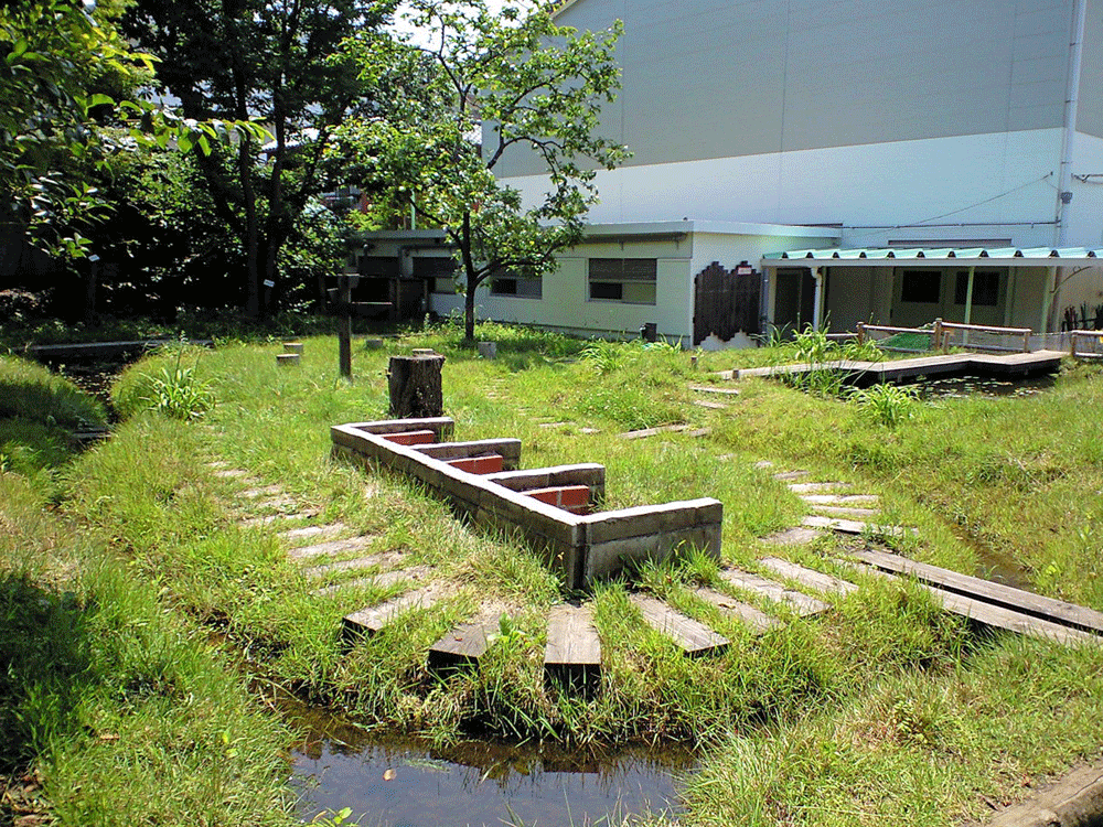 七峡田ビオトープ