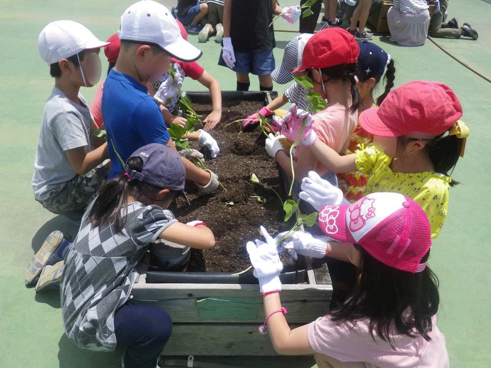 植栽の授業風景