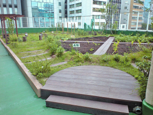 常盤ビオトープ