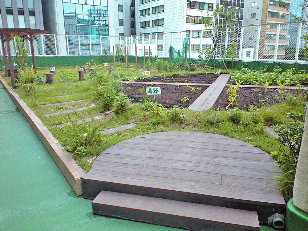 常盤ビオトープ