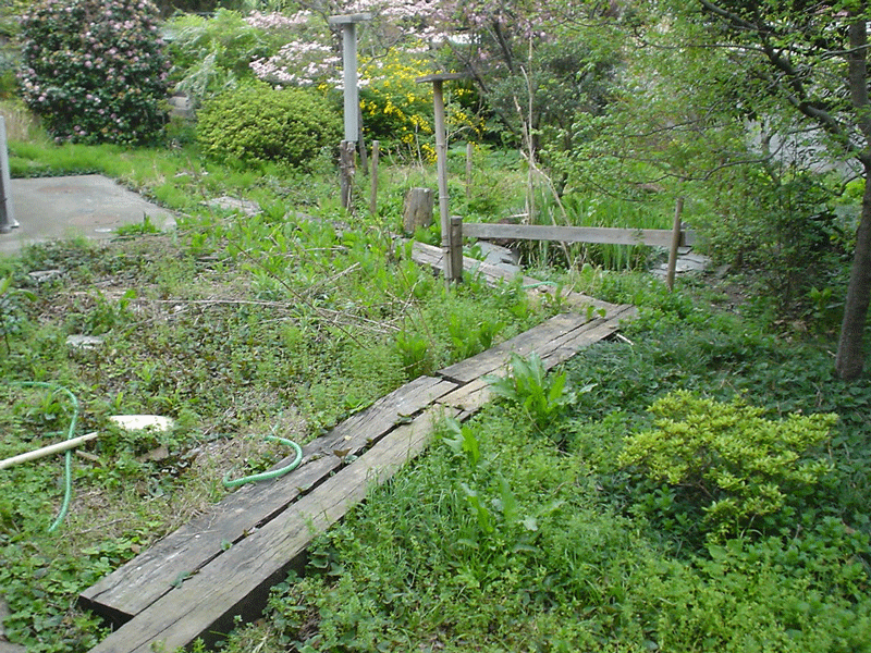 個人様宅ビオトープ 施工前