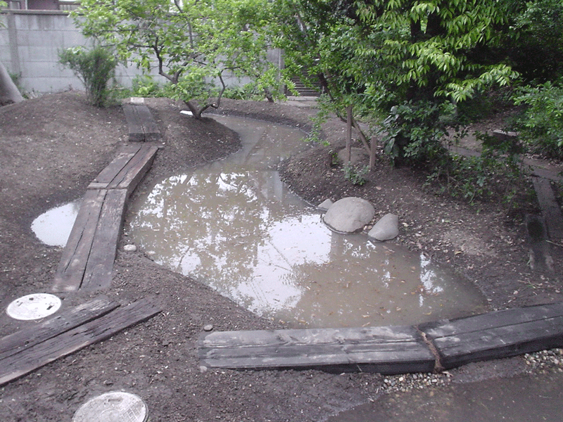 個人様宅ビオトープ 木道