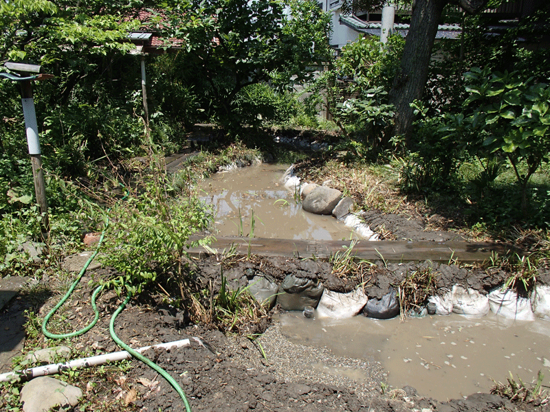 個人様宅ビオトープ 改修工事後
