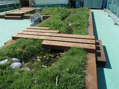 久松ビオトープ