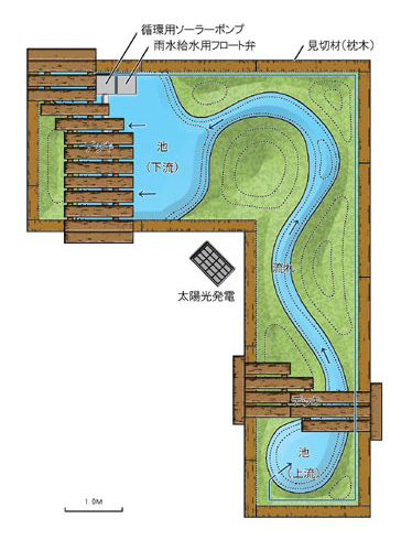 ビオトープの平面図　カラー