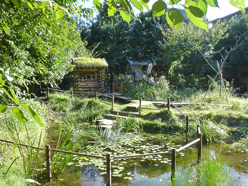 美登里幼稚園ビオトープ　設置後半年