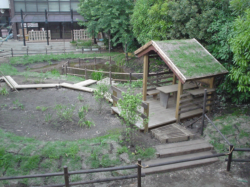 美登里幼稚園ビオトープ　ウッドチップ
