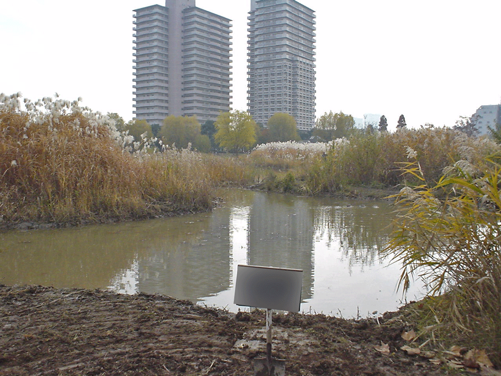 奥野原浚渫工事後