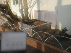 仮設池　設置後