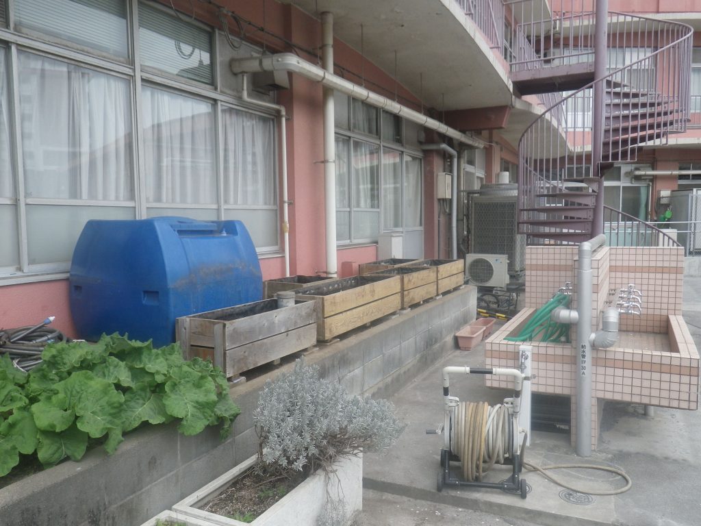 緑のカーテン移設作業後