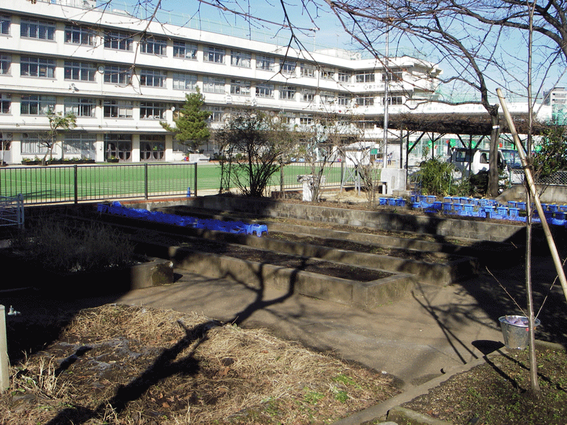 滝野川第三小　設置前