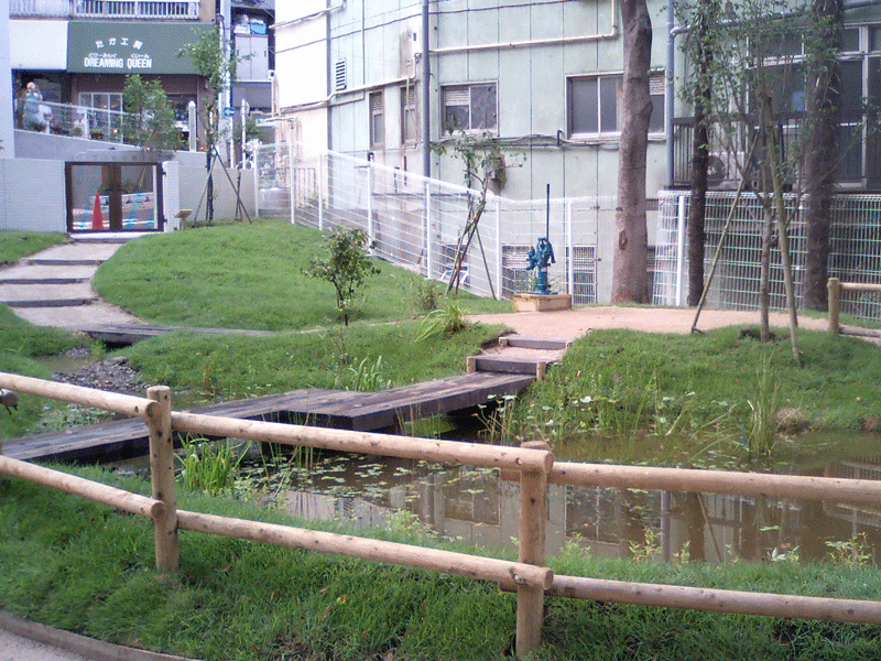 赤羽幼稚園ビオトープ スロープ