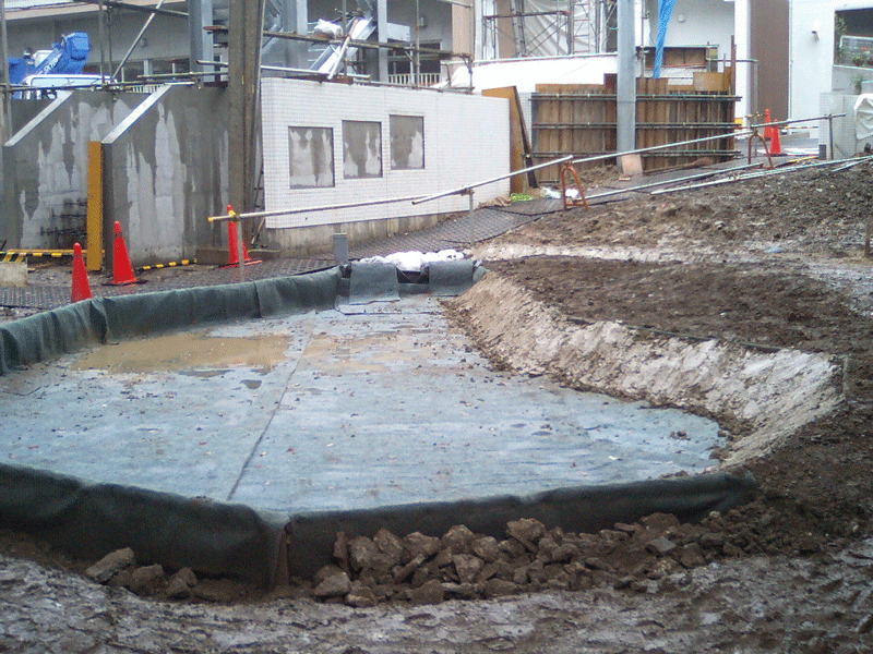 赤羽幼稚園ビオトープ法面