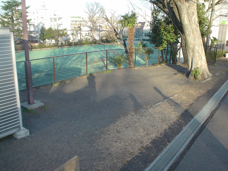 竹早ビオトープ作業前