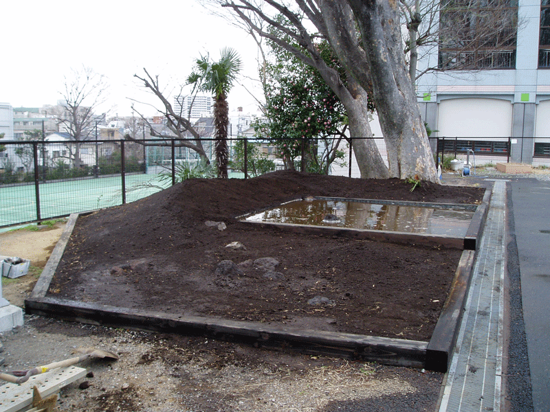 竹早ビオトープ 整地