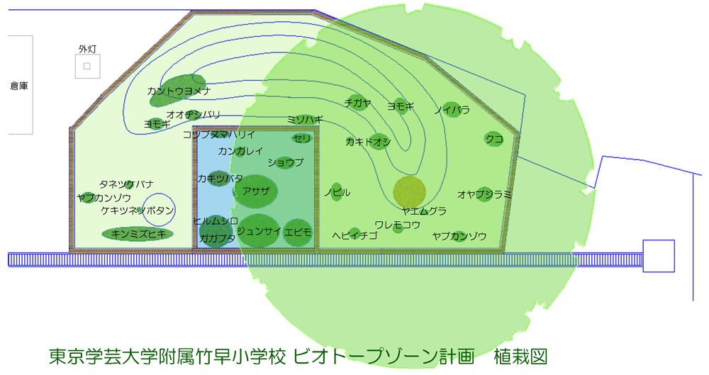 竹早ビオトープ植栽プラン