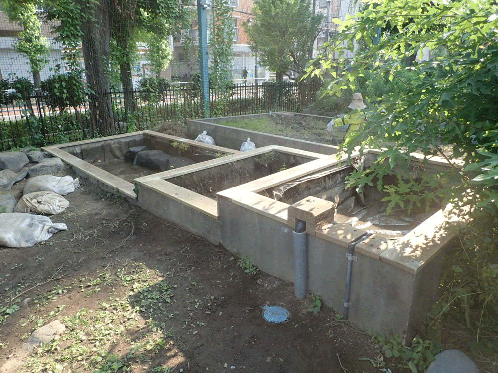 コンクリート池作業後