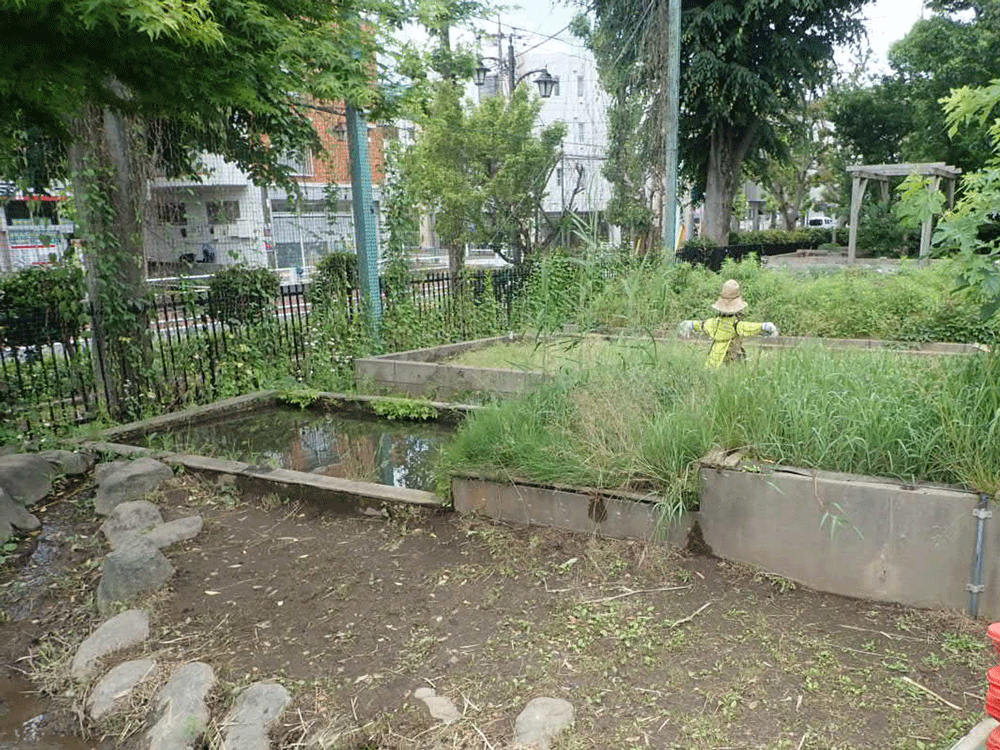 コンクリート池の様子