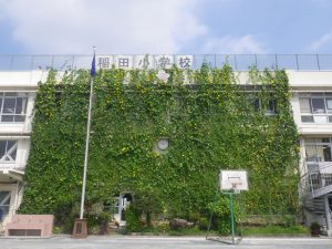 グリーンカーテン