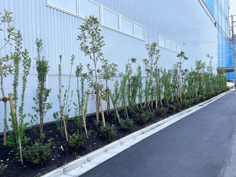 S社ビオトープ 施工前2