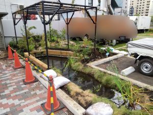 S社ビオトープ　施工後